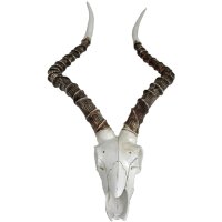 Deko Jagdtrophäe Tier Schädel H: 68 cm...