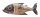Maritime Wanddeko Fisch Holz 50 cm lang Handarbeit Shabby Chic