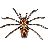 Deko Spinne Wandskulptur Holz 96 x 75cm groß...