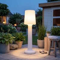 Lampe LED dextérieur Câble Connecteur 165 cm...