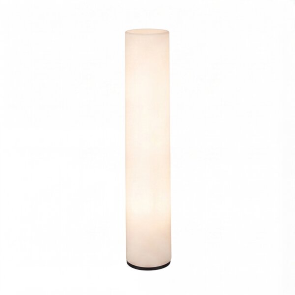 Lampadaire LED extérieur Blanc 165 cm IP65 4000 K Fiche Câble