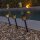 Lampe de jardin LED Piquet de terre 4 pièces Batterie solaire IP44 Noir