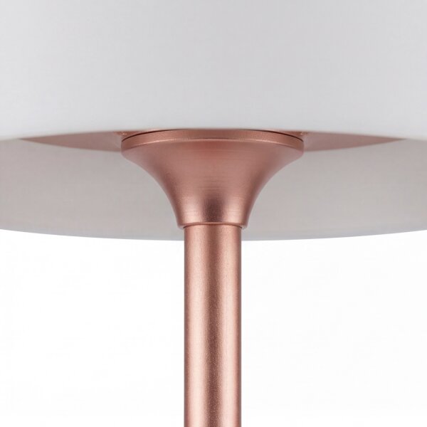 LED Lampadaire Variateur de couleur 3000-6500K Rose Blanc 177cm