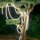 LED Lichtschlauch 3m lang + 4m Kabel Stecker IP65 3000 K