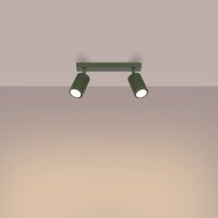Deckenspot Grün verstellbar GU10 2 flammig L:30 cm