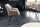 Chaise de bureau sans roulettes en tissu métal taupe noir