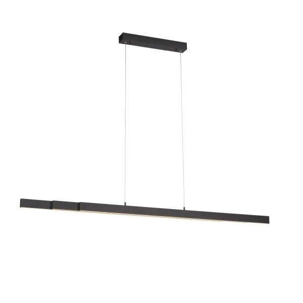 LED Pendelleuchte Anthrazit Metall 13 W 165 cm länglich
