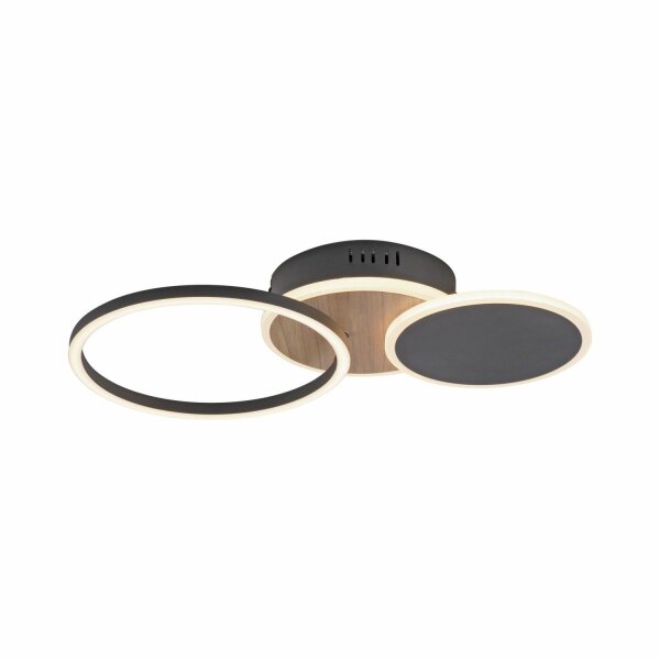 Lampe de plafonnier LED noir nature blanc chaud 26 W ajustable