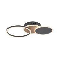 LED Deckenlampe Schwarz Natur warmweiß 26 W...