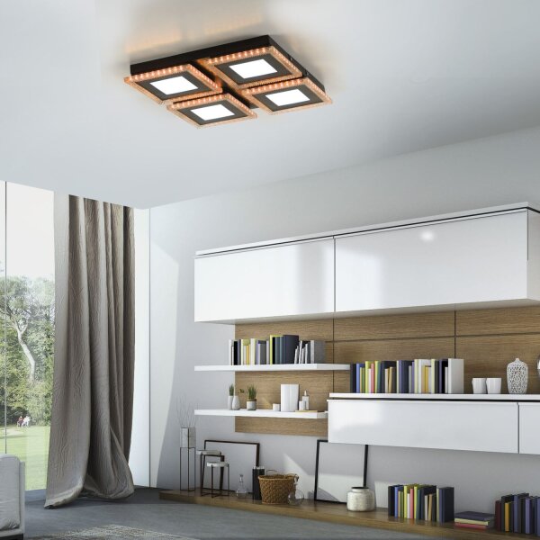 Plafonnier LED à intensité variable RBG Light 17 W Télécommande