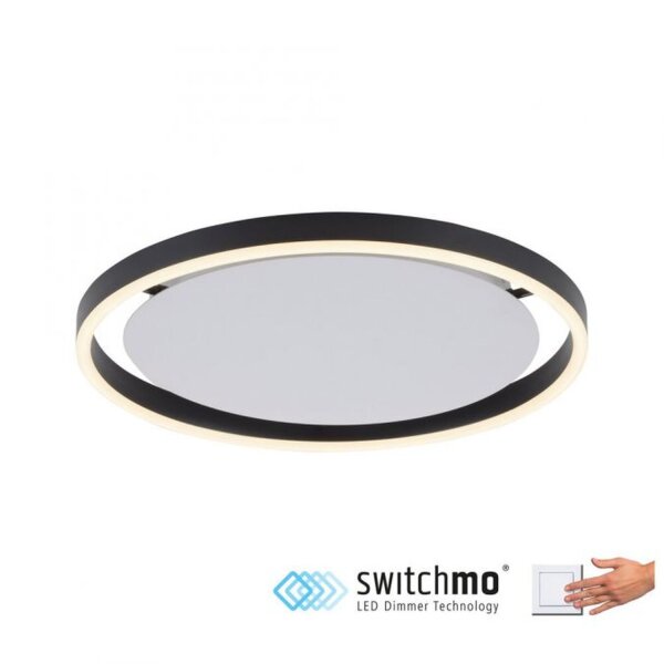 Lampe de plafonnier LED Anthracite Métal Ø39,3 cm 20 W dimmable