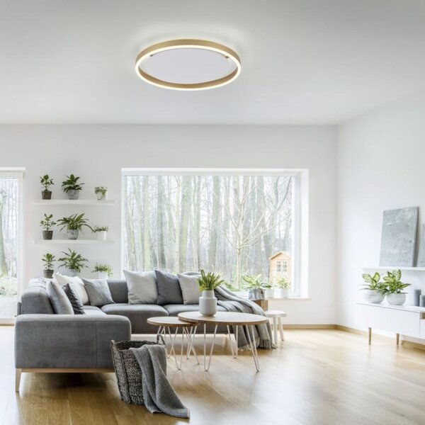 LED Deckenlampe Metall Ø39,3 cm 20 W dimmbar in Messing