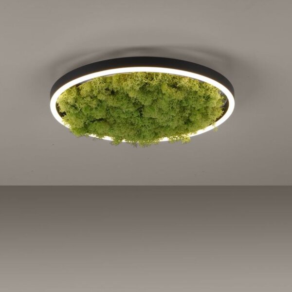 LED Deckenlampe Moos Schwarz 3000 K 2650 lm dimmbar