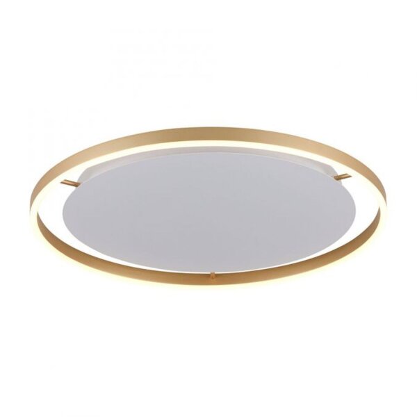 LED Deckenlampe dimmbar Ø58,5 cm 3650 lm in Messing