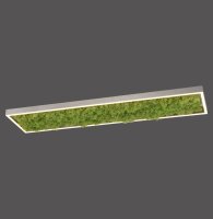 LED Deckenleuchte Moos L:100 cm 3000 K 3550 lm aus Moos