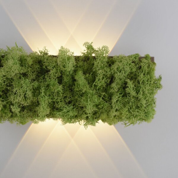 LED Wandlampe Up Down B:32 cm 3000 K 130 lm aus Moos