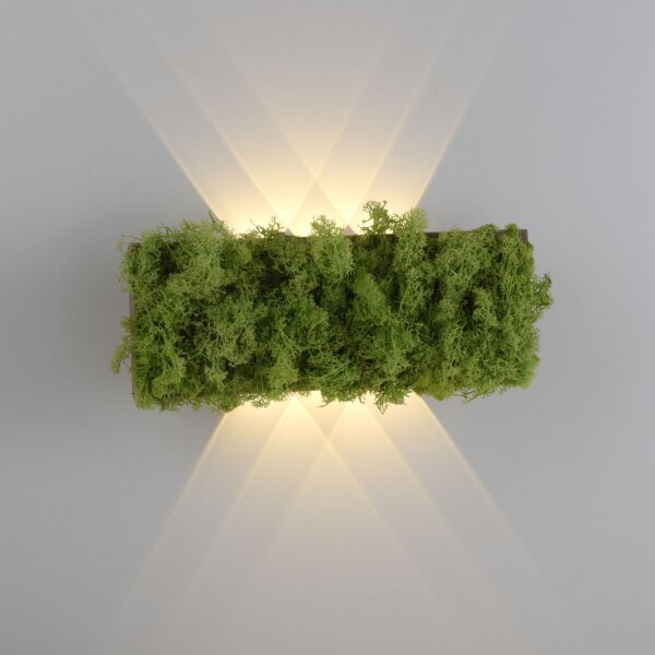 LED Wandlampe Up Down B:32 cm 3000 K 130 lm aus Moos