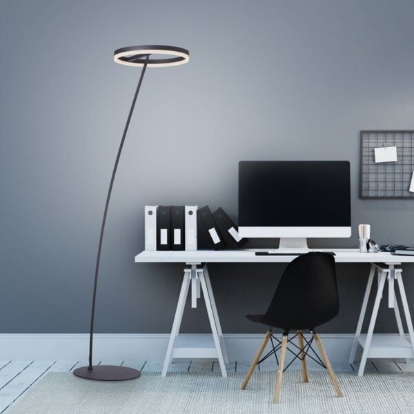 LED Stehlampe Anthrazit dimmbar warmweiß 20 W 215 cm