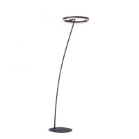 LED Stehlampe Anthrazit dimmbar warmweiß 20 W 215 cm