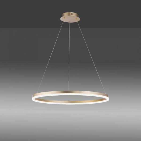 LED Pendelleuchte in Messing dimmbar 3000 K Ø80 cm Ring