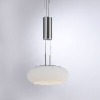 Lampe LED à suspendre verre en acier 2 flammes...