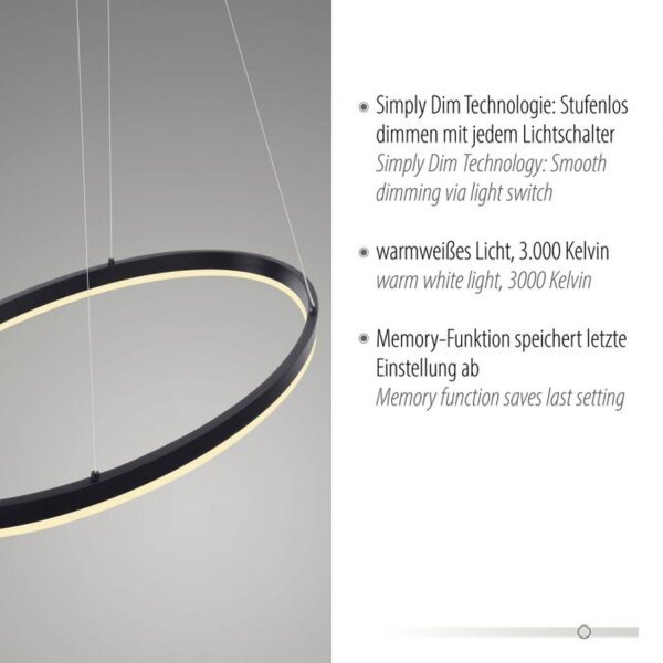 LED Pendelleuchte Anthrazit oval 3000 K L:80 cm dimmbar