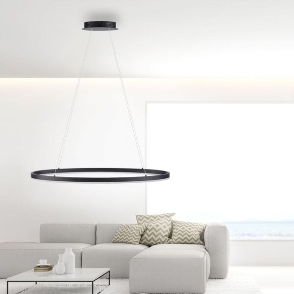 LED Pendelleuchte Anthrazit oval 3000 K L:80 cm dimmbar