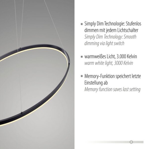 Suspension LED Anthracite ovale 3000 K 118 cm intensité lumineuse variable