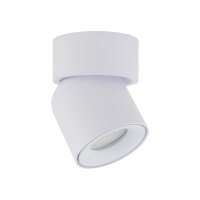 Verstellbarer Deckenstrahler Weiß Metall GU10 IP65