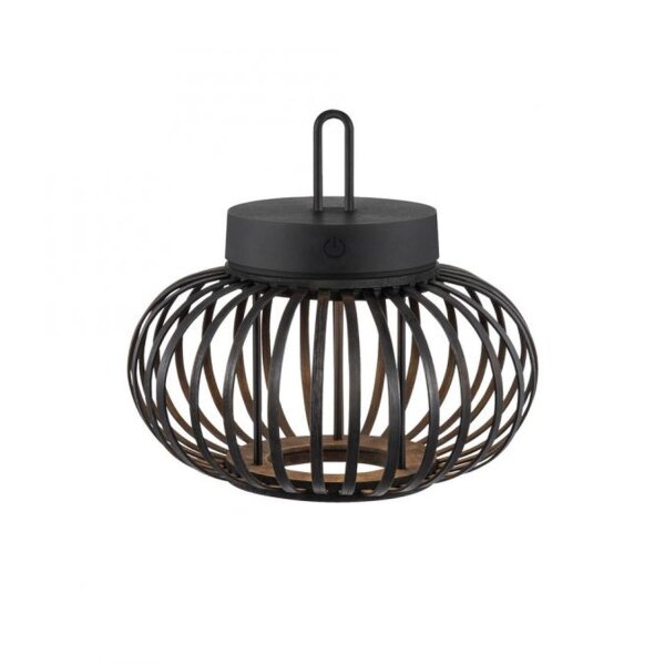 LED Akku Tischleuchte dimmbar 22 cm IP44 2 W Schwarz