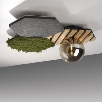 LED Deckenleuchte Filz Eiche Moos Rauchglas G9 blendarm