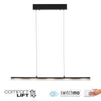 LED Pendelleuchte dimmbar Metall 100 cm 2900 lm Schwarz
