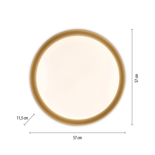 Dimmbare LED Deckenlampe Schwarz Gold Ø57 cm 3850 lm