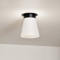 Deckenlampe Glas Metall D: 21,6 cm klein Schwarz Weiß