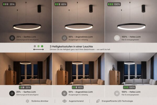 LED Lampe à suspendre noire anneau L:65 cm 3000/4000/6500 K