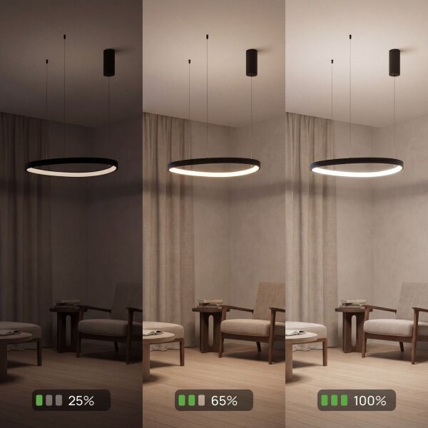 LED Lampe à suspendre noire anneau L:65 cm 3000/4000/6500 K