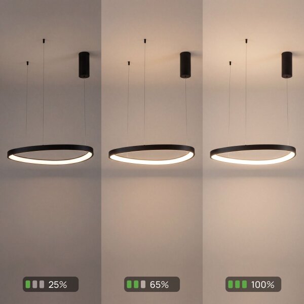 LED Lampe à suspendre noire anneau L:65 cm 3000/4000/6500 K