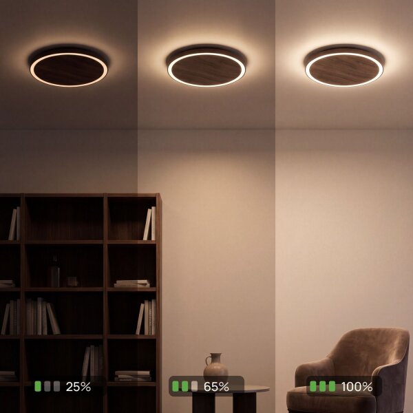 Applique LED Bois Noir ronde Ø50 cm 3500 K dimmable