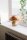 Lampe de table verre 30 cm de haut marbré brun E27 design champignon