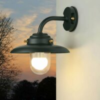 Au&szlig;enwandlampe Echt-Messing Glas 30 cm breit IP64 Gr&uuml;n