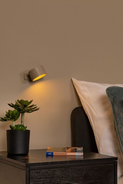LED Akku Tischlampe dimmbar Taupe 36 cm 2700-5700 K