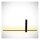 LED Wandleuchte indirekt Schwarz B:60 cm 2700 K 230 lm