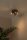Deckenspot Rauchglas Metall Schwarz GU10 verstellbar