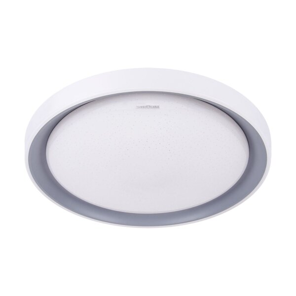 LED Deckenleuchte rund IP44 Silber Weiß Ø 51 cm Fernbedienung