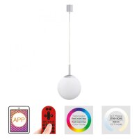 LED Hängelampe RGB Smart Home Glaskugel dimmbar...