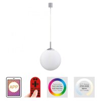 LED Hängelampe RGB Smart Home Glaskugel dimmbar...