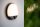 LED Wandleuchte mit Bewegungsmelder Ø21 cm IP54 3000 K