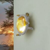 Kellerleuchte Messing Glas rund D: 14 cm IP44 Grau G9