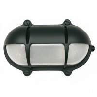 Außenlampe Wand Messing massiv Glas 21 cm breit IP64