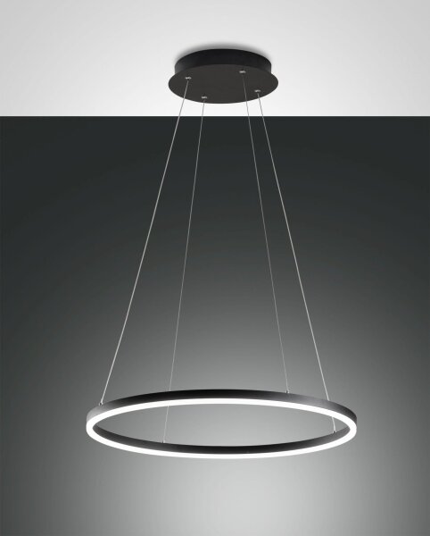LED Pendelleuchte IP40 3000K Metall Schwarz Ø60 cm rund